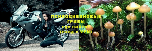 винт Нефтегорск