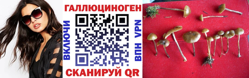 Псилоцибиновые грибы Psilocybine cubensis  Купить закладки  Агидель 